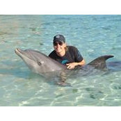 Teresa Amstad Johnson's photo