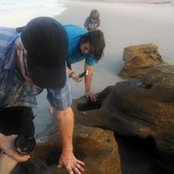Wade Kane's photo