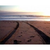 Nancy King's photo