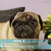 Foto von Carmen Platek