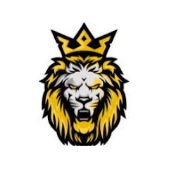 PRYDE GROUP CORP