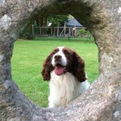 Lesley Stones foto