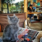 Foto von Sinan Hıncal