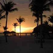 Debbi Borrero's photo