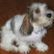 Jim Brucker's photo