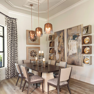 Aviano Model is Fiddler's Creek Naples