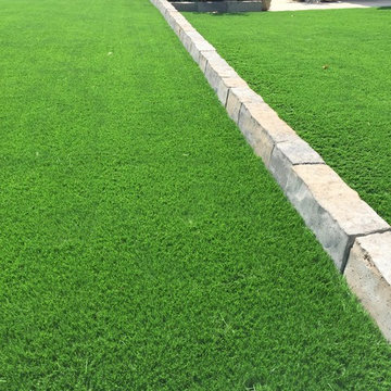 Artificial Grass