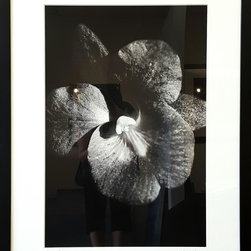 "Tranquility" by Katherine Morgan Framed 37x28 - Photographs