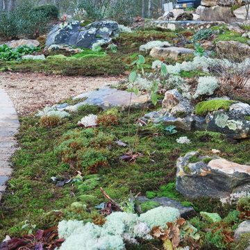 Enhancing Driveway with Moss