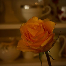 Beautiful Things
