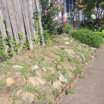 Alberto Alavez Professional Lawn Services LLC 3
