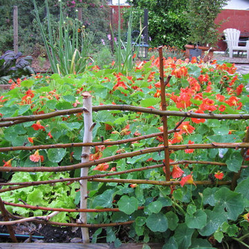 Edible Landscape Design