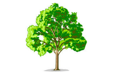 Tree Service Cypress TX