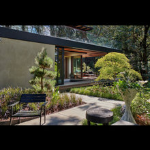 DK New: Landscape around house