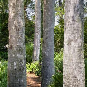 Saint Simons Island Home