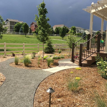 Watching a Xeriscape Grow