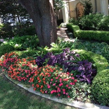 Spring Color