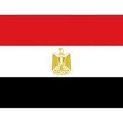 Mohamed Kamal's photo
