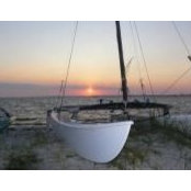 David Yardley's photo