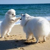 Bethany Brenner's photo