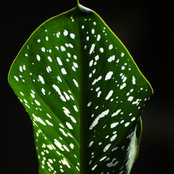 Karla Trainor's photo