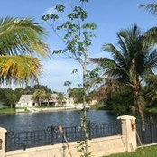Miami Gardening's photo