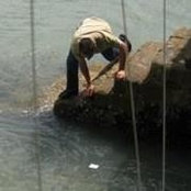 Tom Berg's photo
