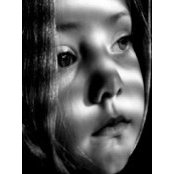 Neil Mathisonさんの写真