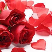 Munirah Abd Hamid's photo