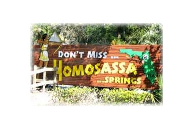 vacant land for sale Homosassa FL 34446  https://www.zillow.com/homedetails/18-S