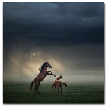 Huseyin Taskin 'Horses Fight' Canvas Art, 24x24