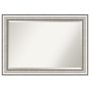 Salon Silver Beveled Wall Mirror - 41.25 x 29.25 in.