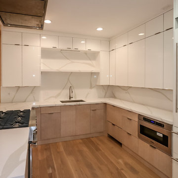 Salt Lake City, UT Modello Blanco Slab Kitchen