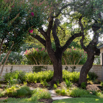 West Lake Hills | Shade Planting