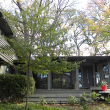 Exterior Ideas