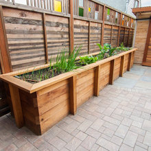 Raised Beds