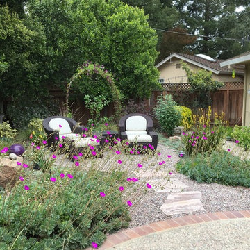 Saratoga - Lawn replacement & reduction