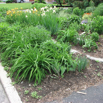 front yard