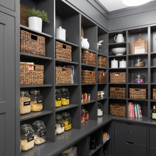 75 Beautiful Kitchen Pantry With Open Cabinets Pictures Ideas