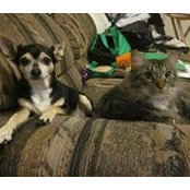 Beverly Woytek's photo