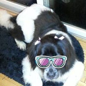 Deborah Mindick's photo