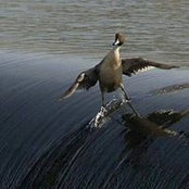Tony D'Eramo's photo
