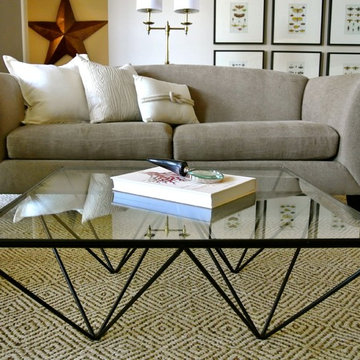 dallas redesign | the living room