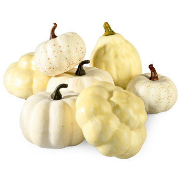 Serene Spaces Living Assorted Harvest Pumpkins and Gourds, Available in 3 option