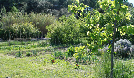 Paysagisme : Cap sur des jardins ornementaux et comestibles !