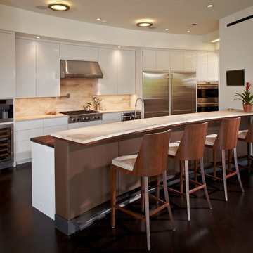 Contemporary Kitchen