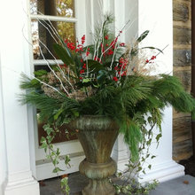 container plantings