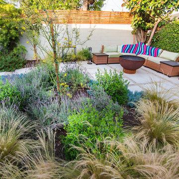 Culver City - Backyard