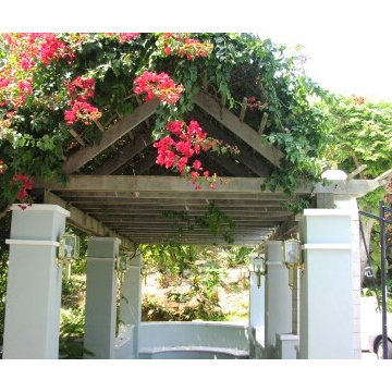 Pergola at Front Entry in Paget