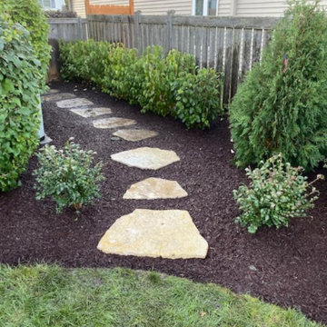 Privacy Hedge for Backyard